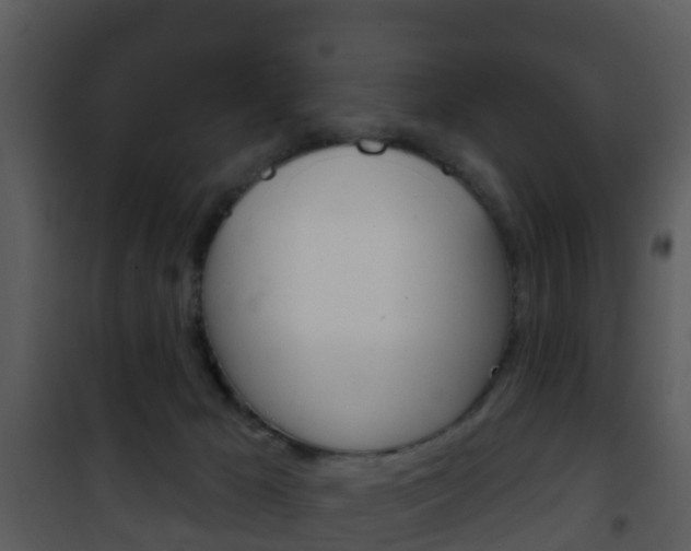 X0000101970029200807180736