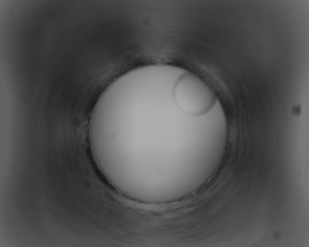 X0000101970030200807180736