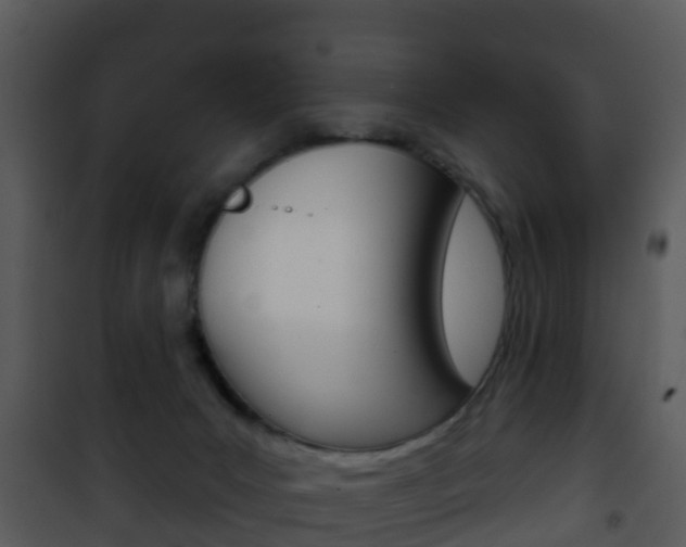 X0000101970031200807180736