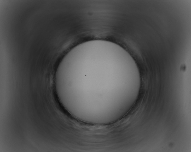 X0000101970032200807180736