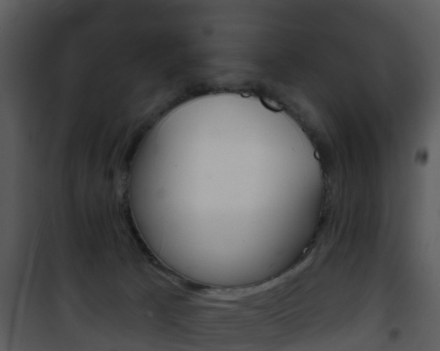 X0000101970033200807180736