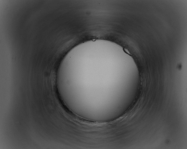 X0000101970036200807180736