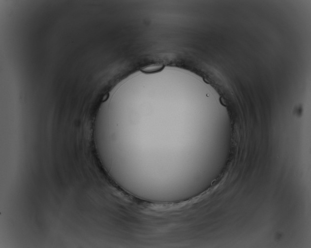X0000101970037200807180736