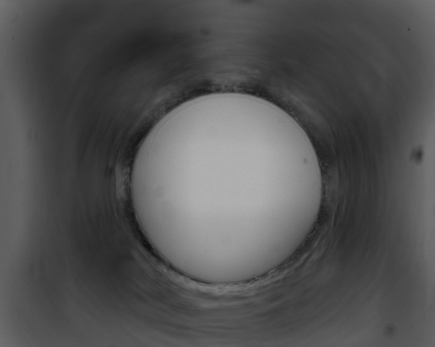 X0000101970038200807180736