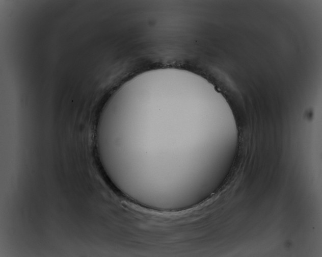X0000101970039200807180736
