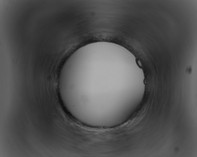 X0000101970040200807180736