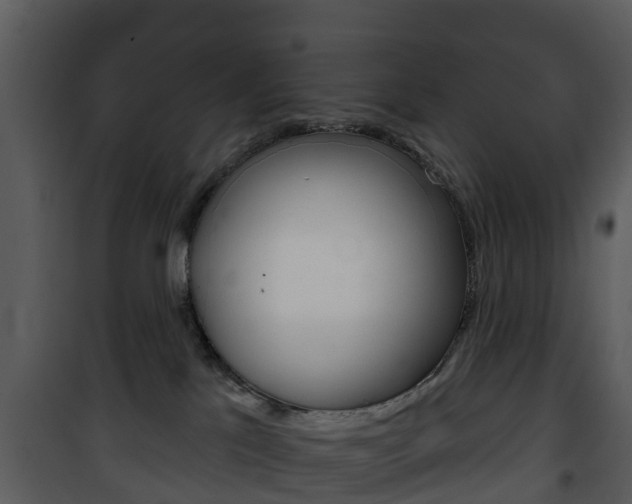 X0000101970041200807180736