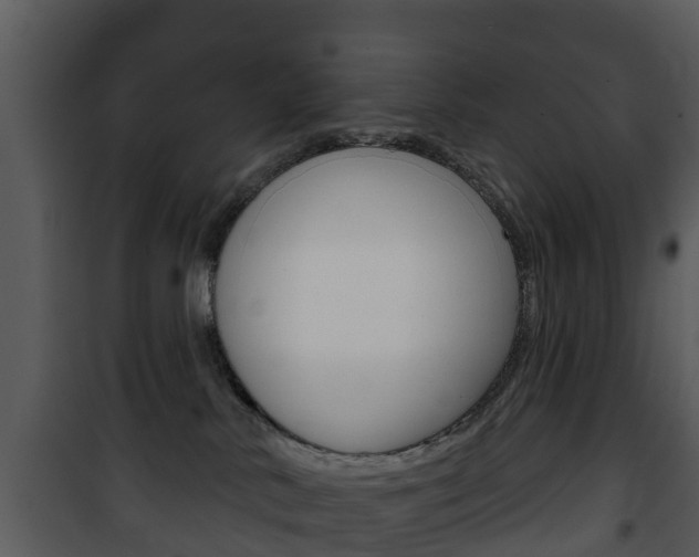 X0000101970042200807180736