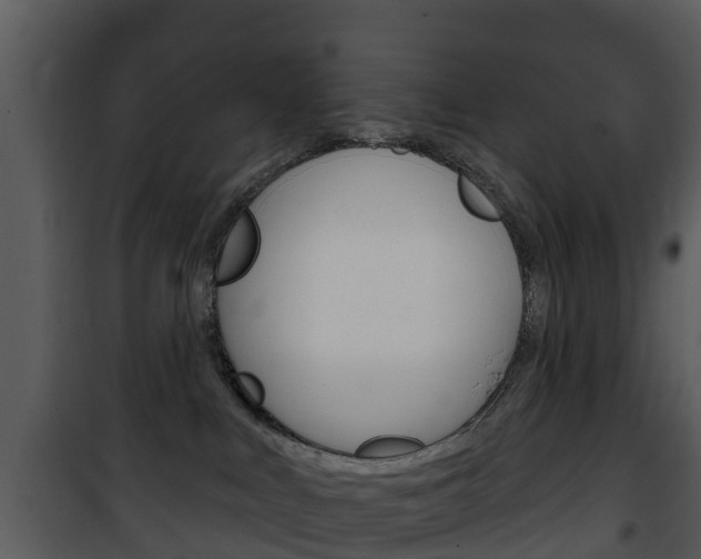 X0000101970043200807180736