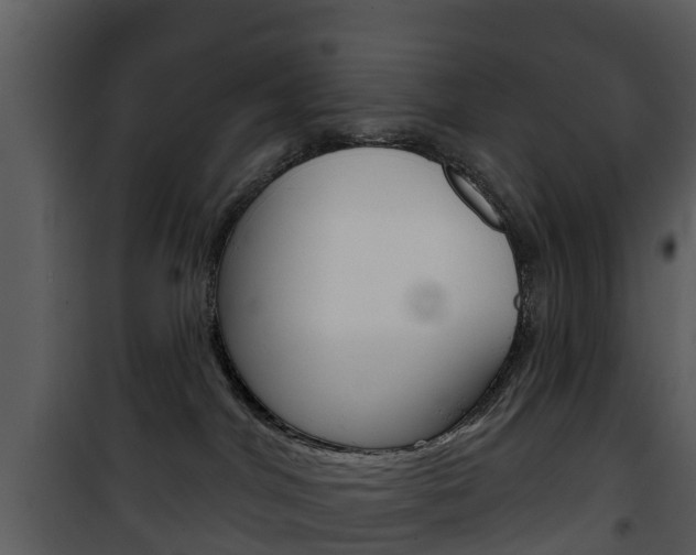X0000101970044200807180736
