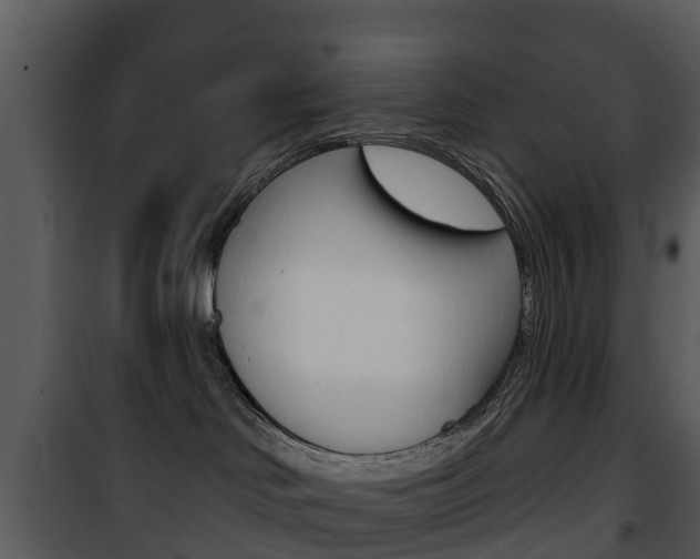 X0000101970046200807180736