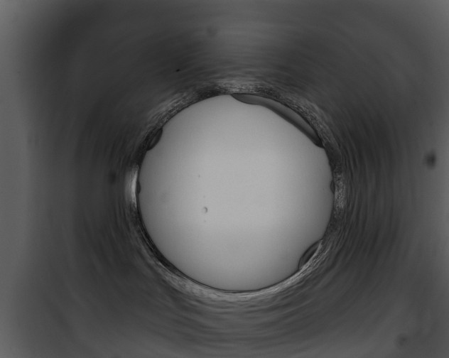 X0000101970047200807180736
