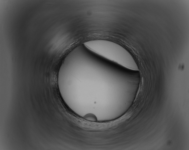 X0000101970048200807180736