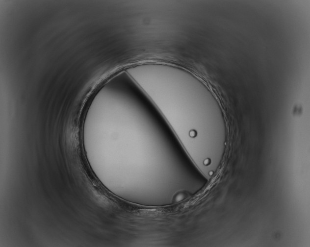 X0000101970050200807180736