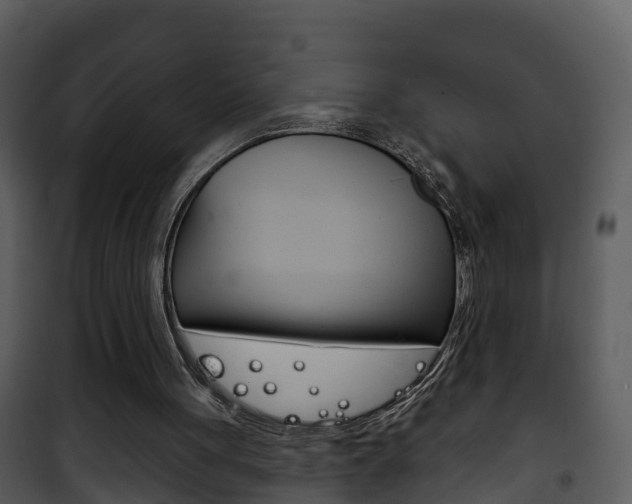 X0000101970051200807180736