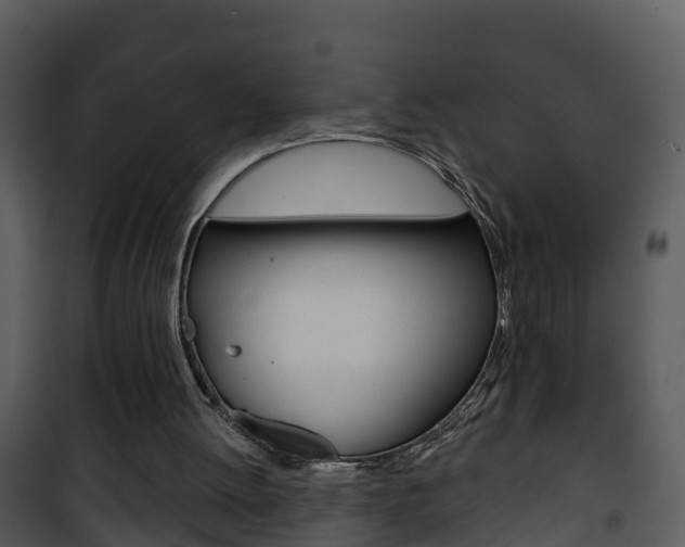 X0000101970052200807180736