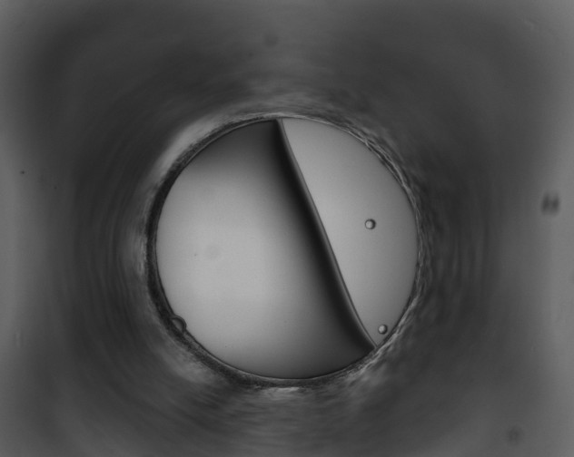 X0000101970054200807180736