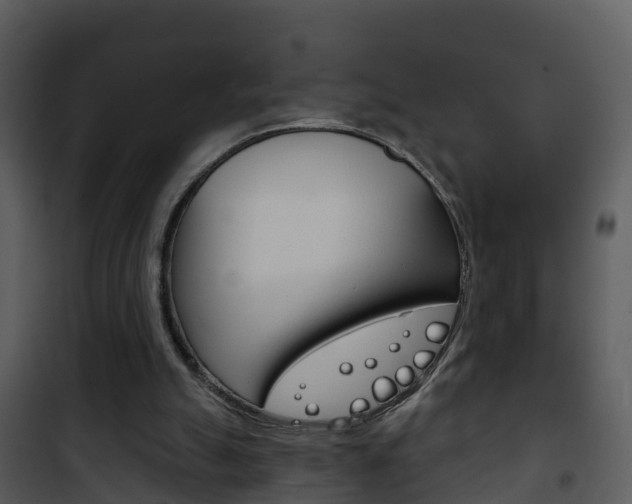 X0000101970055200807180736