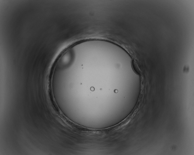 X0000101970056200807180736