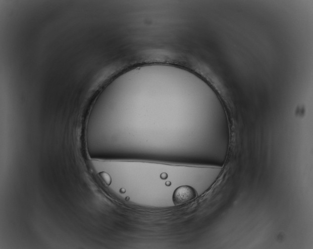 X0000101970058200807180736