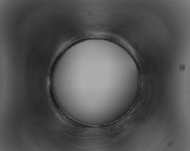 X0000101970059200807180736