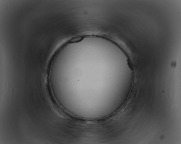 X0000101970060200807180736