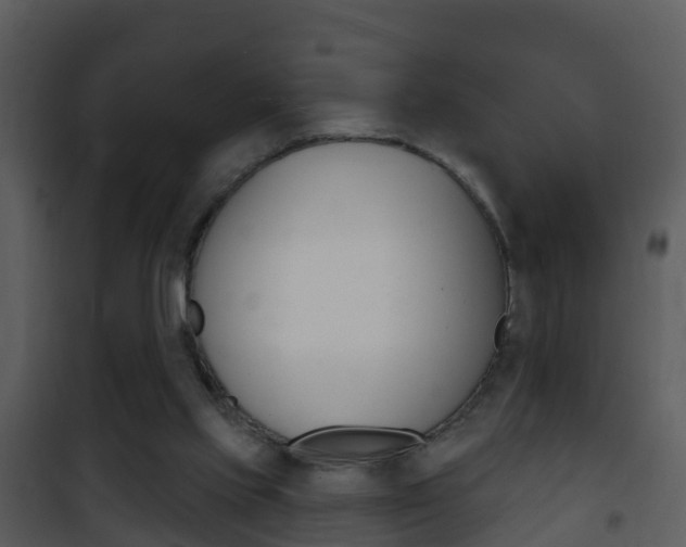 X0000101970061200807180736
