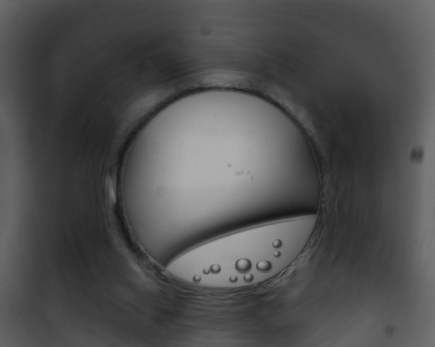 X0000101970062200807180736