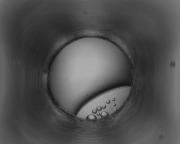 X0000101970063200807180736
