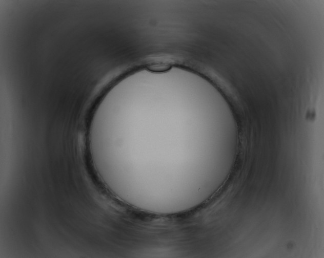 X0000101970064200807180736