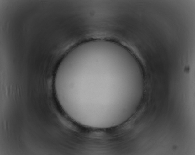 X0000101970066200807180736