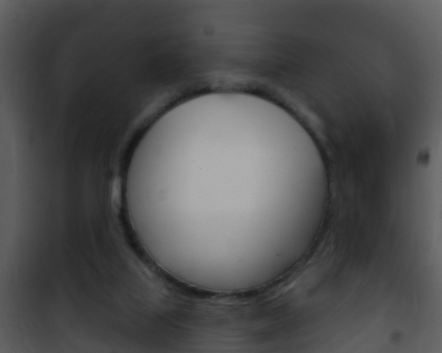 X0000101970067200807180736