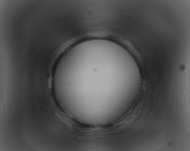 X0000101970068200807180736