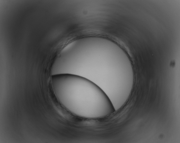 X0000101970069200807180736