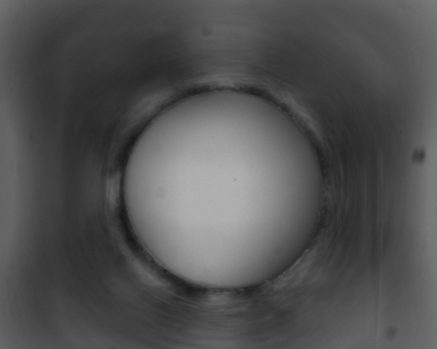 X0000101970070200807180736
