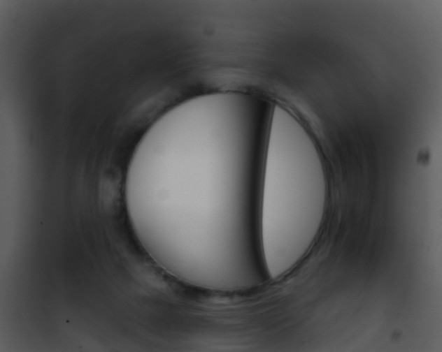 X0000101970073200807180736
