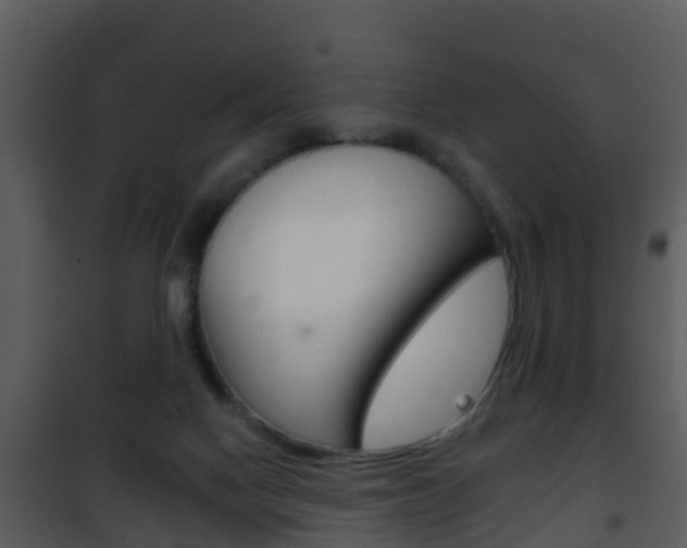 X0000101970074200807180736