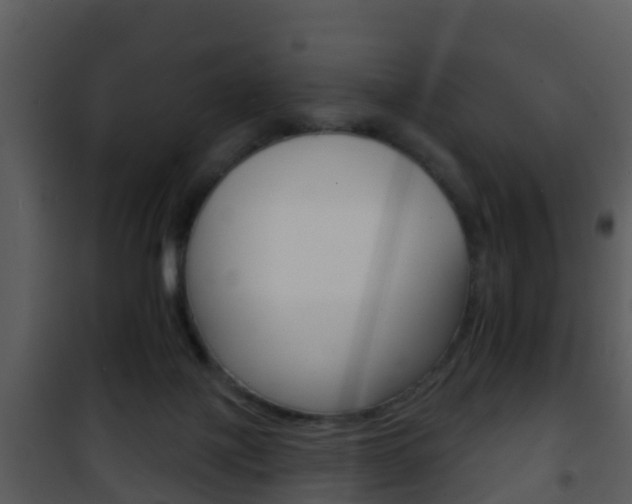 X0000101970075200807180736