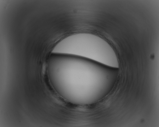 X0000101970076200807180736