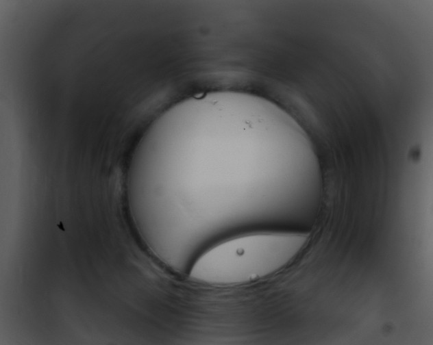 X0000101970077200807180736