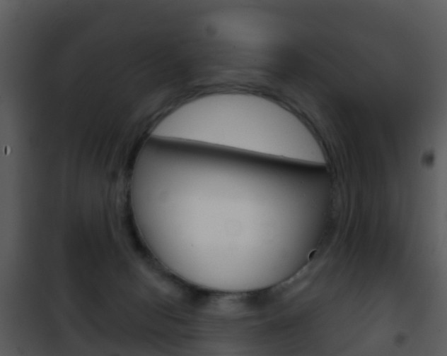 X0000101970078200807180736