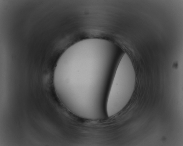 X0000101970079200807180736