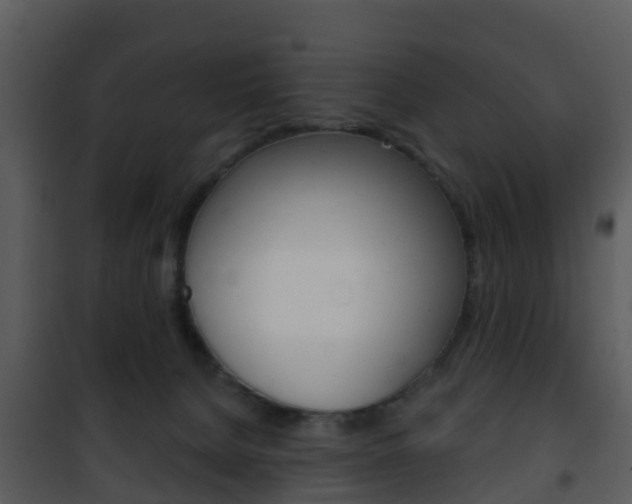 X0000101970080200807180736