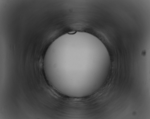 X0000101970081200807180736