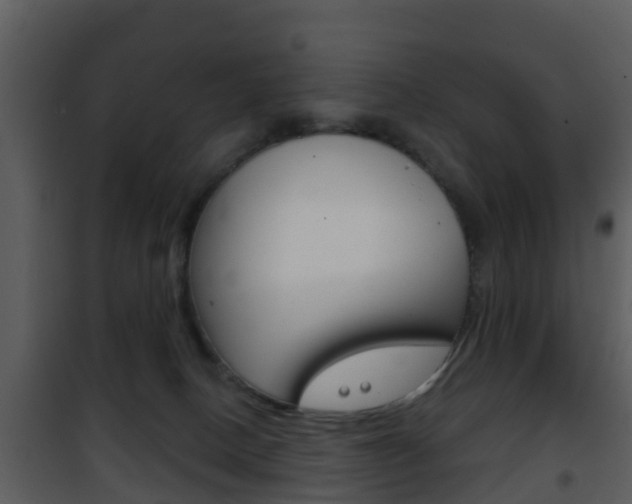 X0000101970082200807180736