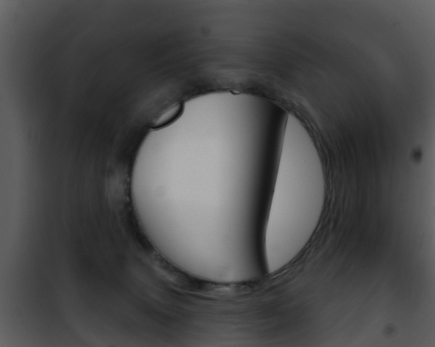X0000101970083200807180736