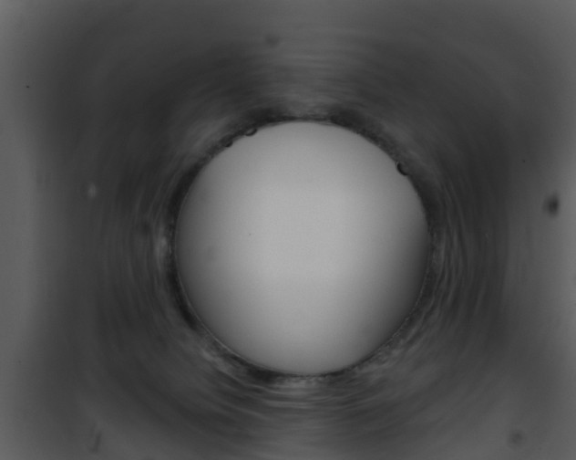 X0000101970084200807180736