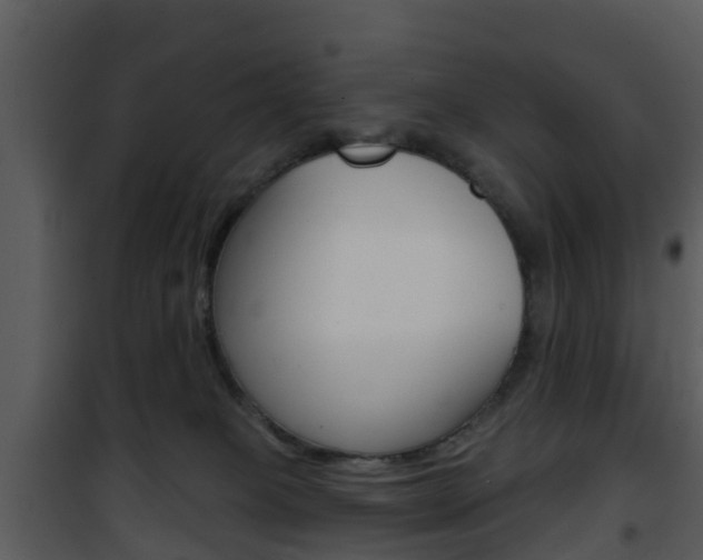 X0000101970085200807180736