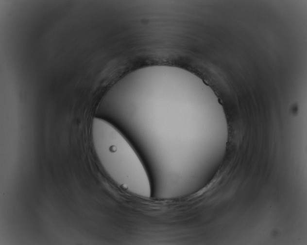 X0000101970086200807180736