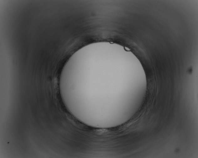X0000101970087200807180736